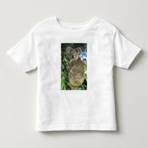 Camiseta Infantil Coala, Phascolarctos cinereus), em extinção,