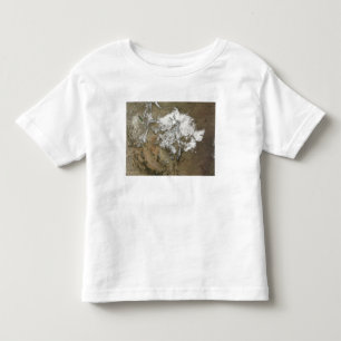Camiseta Infantil Cobrir de neve as montanhas rochosas no estado