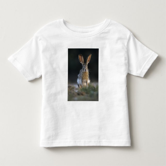 Camiseta Infantil Coelho-de-cauda-negra, Lepus californicus, 2 (Frente)