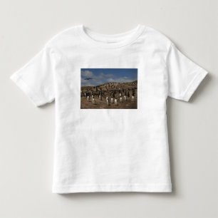 Camiseta Infantil colônia de Pinguim Gentoo (Pygoscelis papua) no Oe
