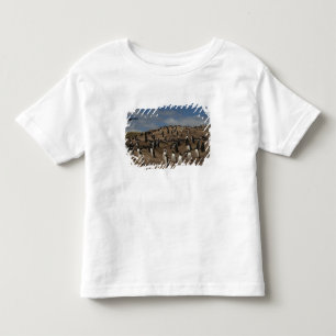 Camiseta Infantil colônia de Pinguim Gentoo (Pygoscelis papua) no Oe