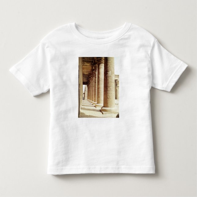 Camiseta Infantil Colunas no Pronaos do templo de Horus (Frente)