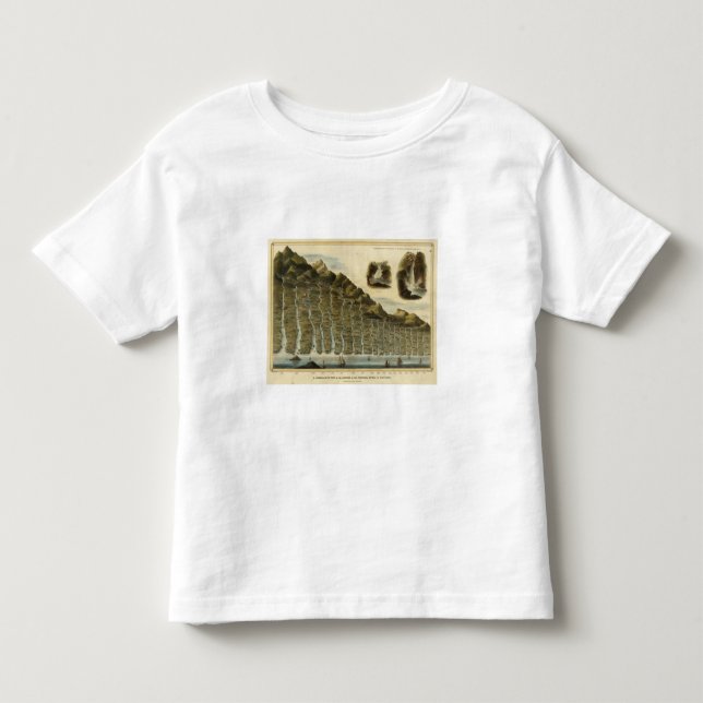 Camiseta Infantil Comprimento dos rios de Scotland (Frente)
