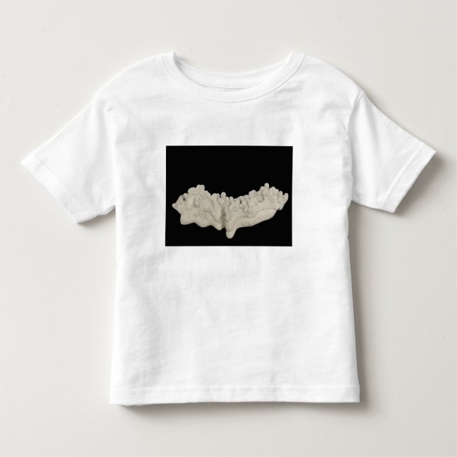 Camiseta Infantil Concretion da argila (Frente)