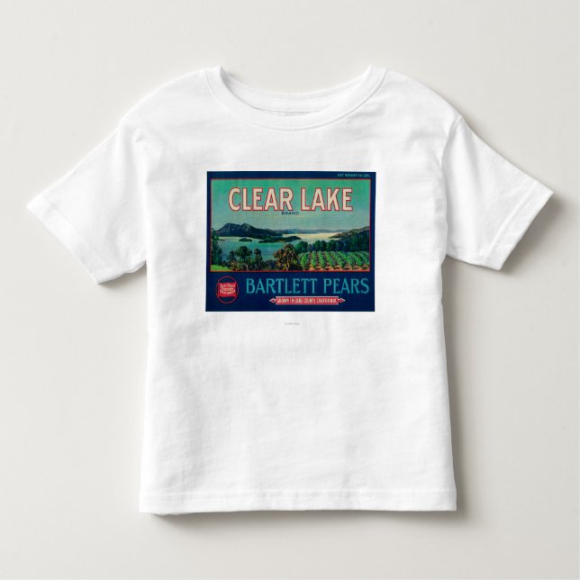 Camiseta Infantil Condado claro de LabelLake da caixa da pera do (Frente)