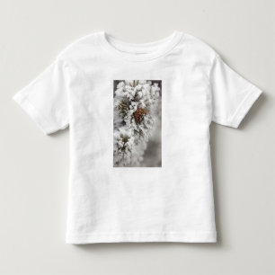 Camiseta Infantil Cone do pinho de Lodgepole no inverno em