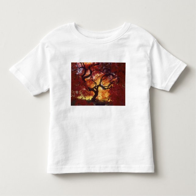 Camiseta Infantil Conexão: Darien, mapa japonês Acer (Frente)