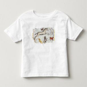 Camiseta Infantil Constelação de Monoceros com Canis Major e Mi