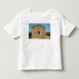 Camiseta Infantil Construção em Jericho velho