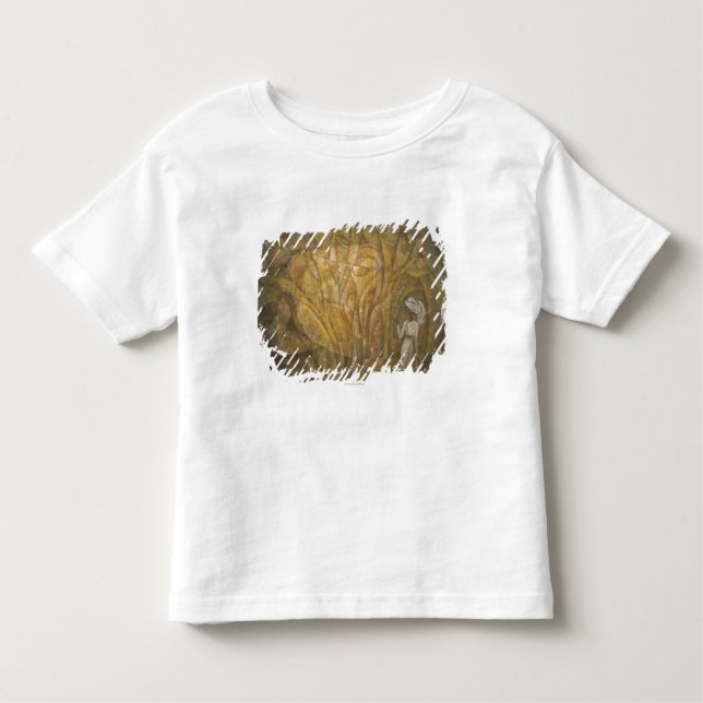 Camiseta Infantil Conto de fadas (Frente)