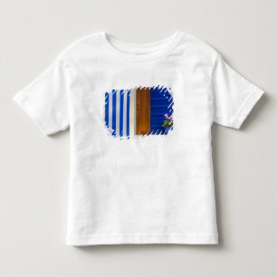 Camiseta Infantil Contraste colorido design na residência