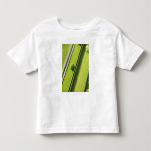 Camiseta Infantil Conversão no Hamptons