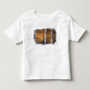 Camiseta Infantil Cópia de Putto com Golfinho por Andrea del