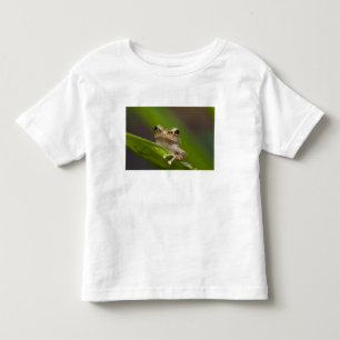 Camiseta Infantil Coqui comum, coqui do Eleutherodactylus, EL