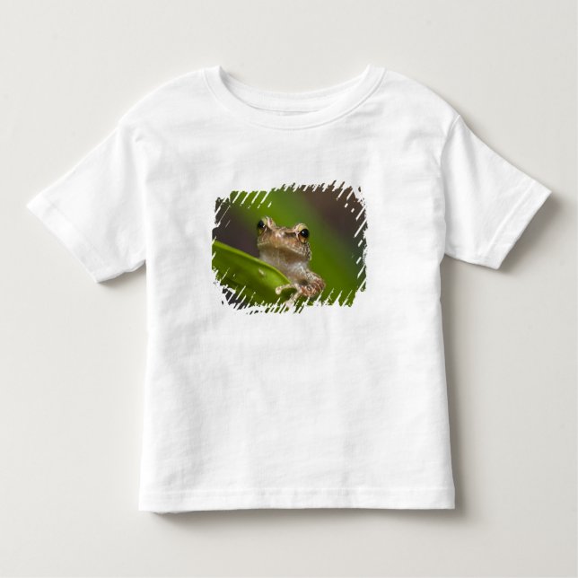 Camiseta Infantil Coqui comum, Eleutherodactylus coqui (Frente)