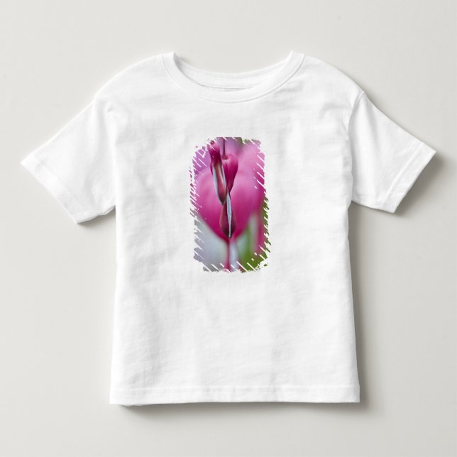 Camiseta Infantil Cor dramática e forma de coração sangrando (Frente)