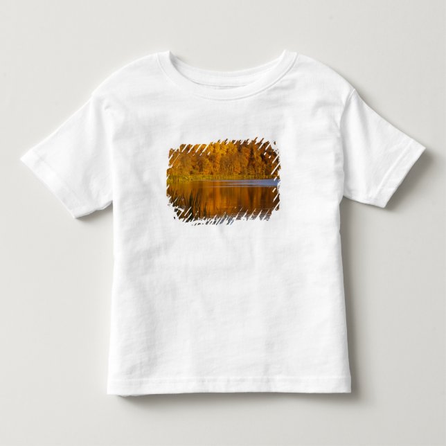Camiseta Infantil Cores de outono no Parque Estadual Maplewood perto (Frente)
