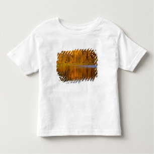 Camiseta Infantil Cores do outono em Maplewood State Park perto