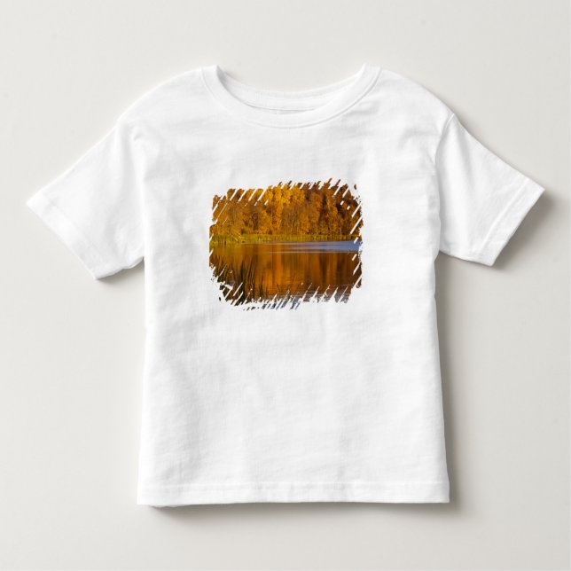 Camiseta Infantil Cores do outono em Maplewood State Park perto (Frente)