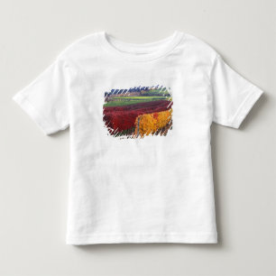 Camiseta Infantil Cores intensas de vermelho e amarelo no outono em 