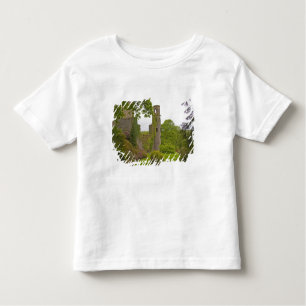 Camiseta Infantil Cork, Irlanda. O infame Castelo Blarney 2