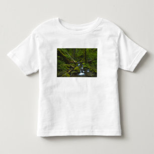 Camiseta Infantil Córrego da Floresta Tropical Temperada no Rio Colu