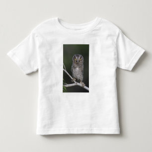 Camiseta Infantil Coruja-pequena, Megascops asio, Otus 2