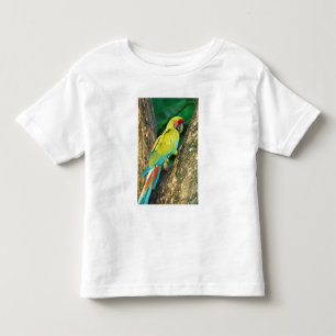 Camiseta Infantil Costa Rica, Arara Ambigua, Grande Arara Verde.
