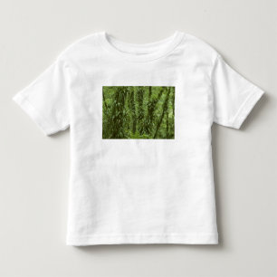 Camiseta Infantil Costa Rica, Parque Nacional Arenal, floresta tropi