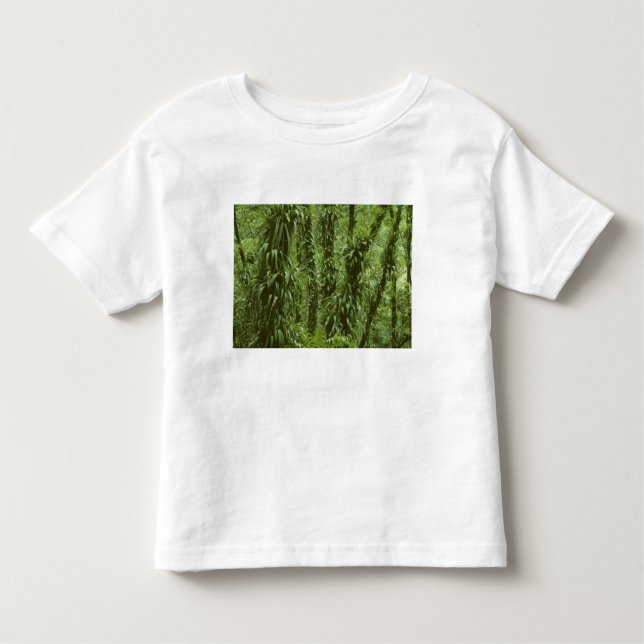 Camiseta Infantil Costa Rica, Parque Nacional Arenal, floresta tropi (Frente)