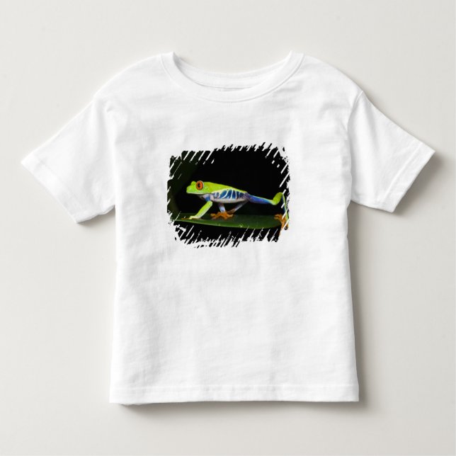 Camiseta Infantil Costa Rica, Sapo de árvores de olhos vermelhos (Ag (Frente)