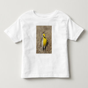 Camiseta Infantil Cotovia-de-barriga-amarela (Sturnella neglecta)