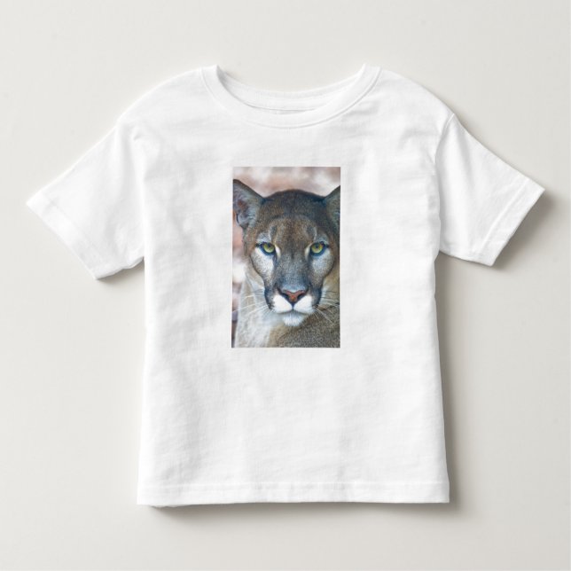 Camiseta Infantil Cougar, leão da montanha, Puma da Flórida (Frente)