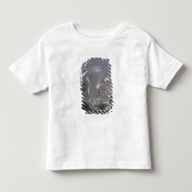 Camiseta Infantil Crânio (Frente)