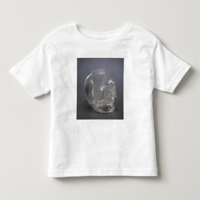 Camiseta Infantil Crânio (Frente)