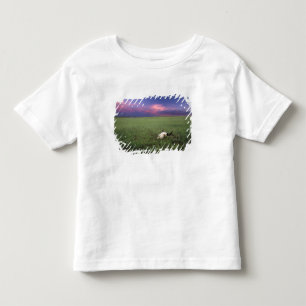 Camiseta Infantil Crânio de Búfalo em Grama da Pradaria perto de Med