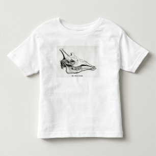 Camiseta Infantil Crânio de um girafa