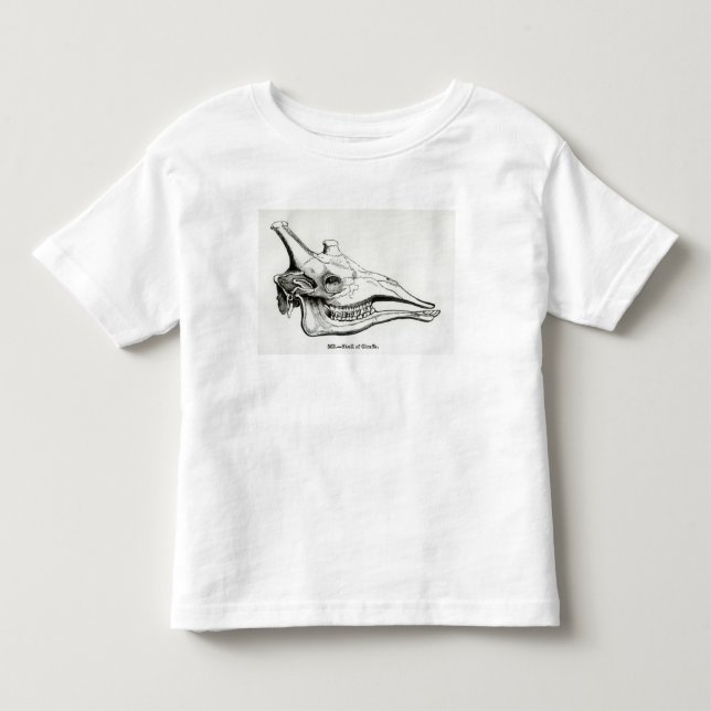 Camiseta Infantil Crânio de um girafa (Frente)