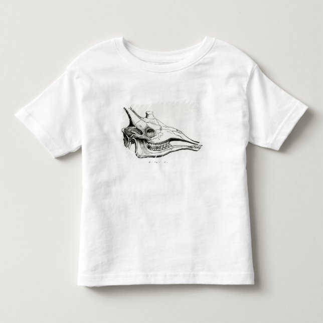 Camiseta Infantil Crânio de um girafa (Frente)