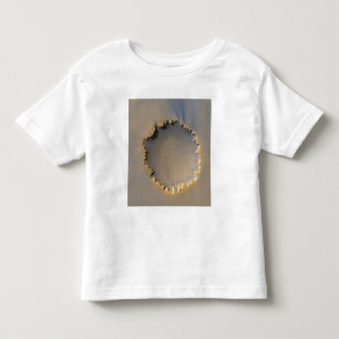 Camiseta Infantil Cratera de Victoria em Marte
