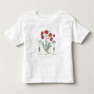 Camiseta Infantil Cravos e lavanda: 1.Caryophyllus maximus pl