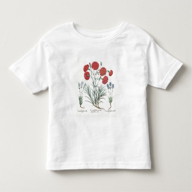 Camiseta Infantil Cravos e lavanda: 1.Caryophyllus maximus pl (Frente)