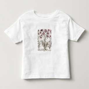Camiseta Infantil Cravos: majore do flore 1.Caryophyllus; 2. Caryop