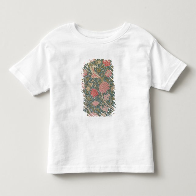 Camiseta Infantil Cray, 1884 (Frente)