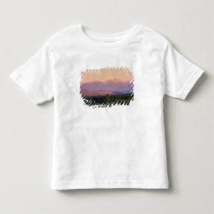 Camiseta Infantil Crepúsculo e Monte Washington em New Hampshire