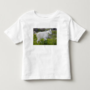 Camiseta Infantil Criança de cabra de montanha no Logan Pass em Glac