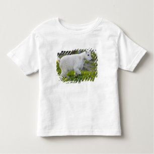 Camiseta Infantil Criança de cabra de montanha no Logan Pass em Glac