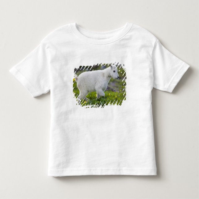 Camiseta Infantil Criança de cabra de montanha no Logan Pass em Glac (Frente)