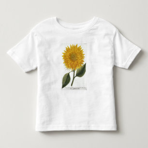 Camiseta Infantil Crisântemo Indicum 'de Pythanthoza Iconograph