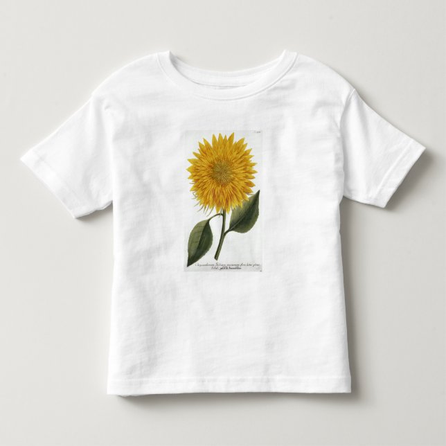 Camiseta Infantil Crisântemo Indicum 'de Pythanthoza Iconograph (Frente)